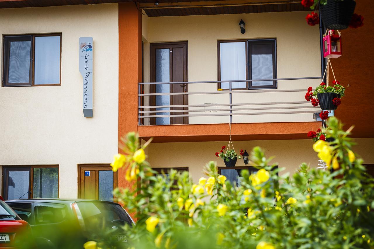 Hotel Casa Tudorascu Vama Veche Exterior foto